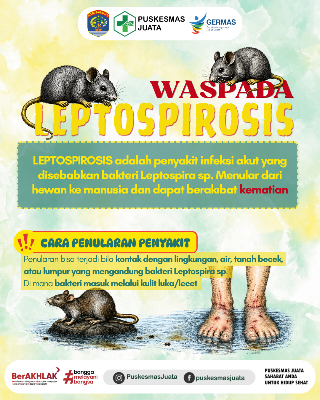 Waspada Leptospirosis: Kenali Gejala, Cara Penularan, dan Pencegahannya